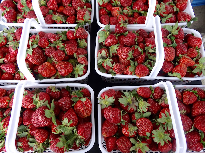 strawberries summer bucket list