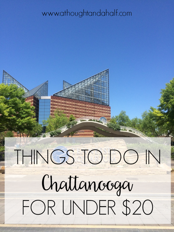 things to do in chattanooga under $20
